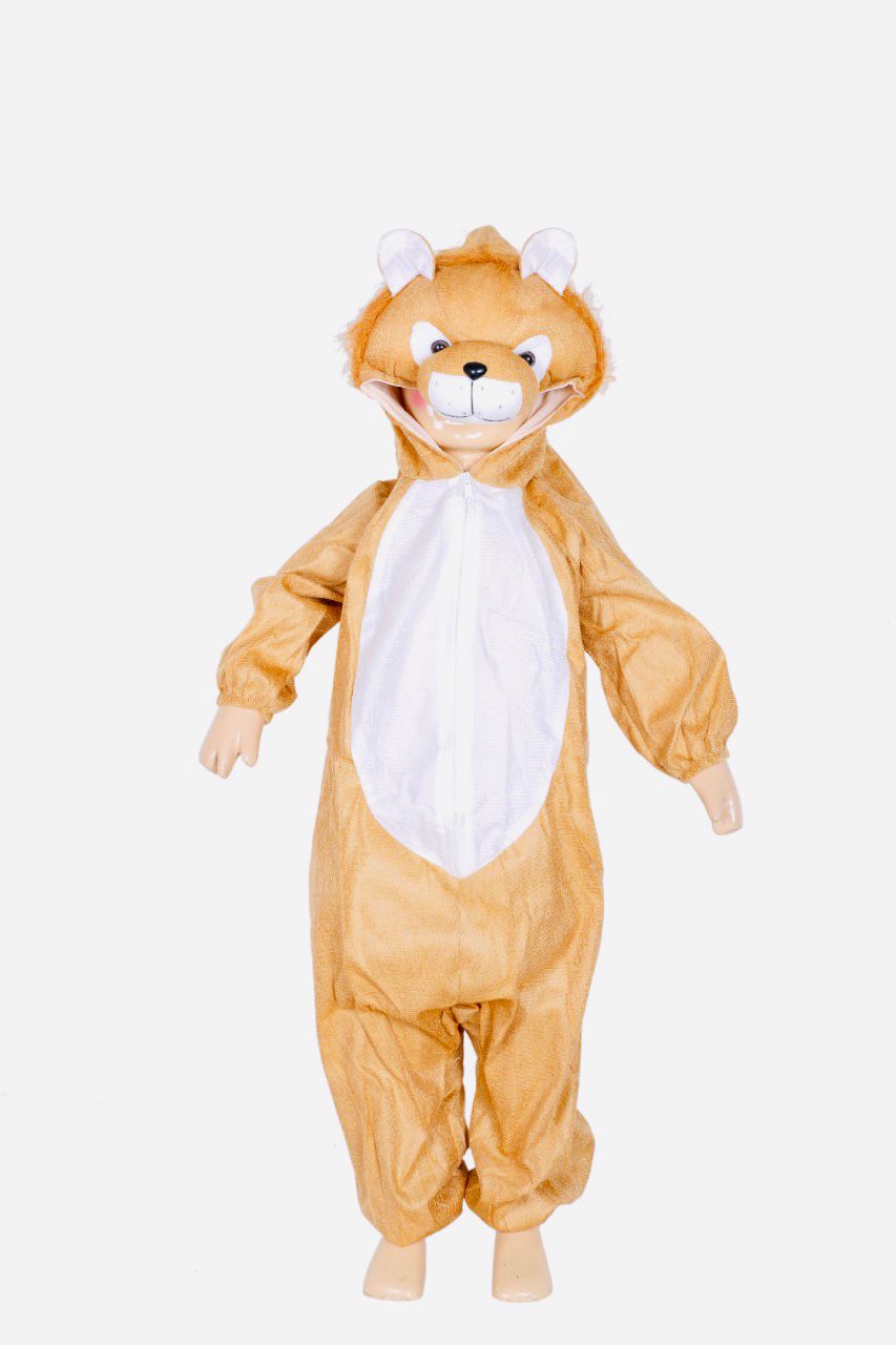 Costume image 